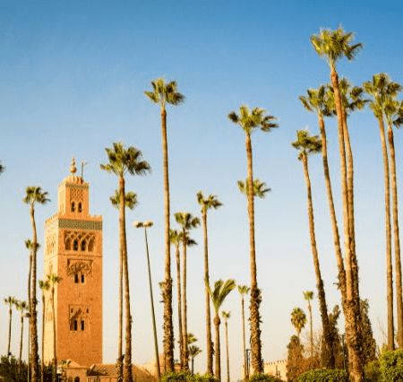 Que découvrir lors d’un voyage à Marrakech ?