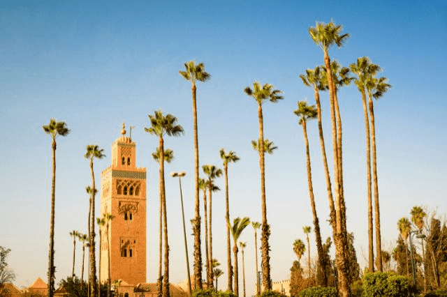 Que découvrir lors d’un voyage à Marrakech ?